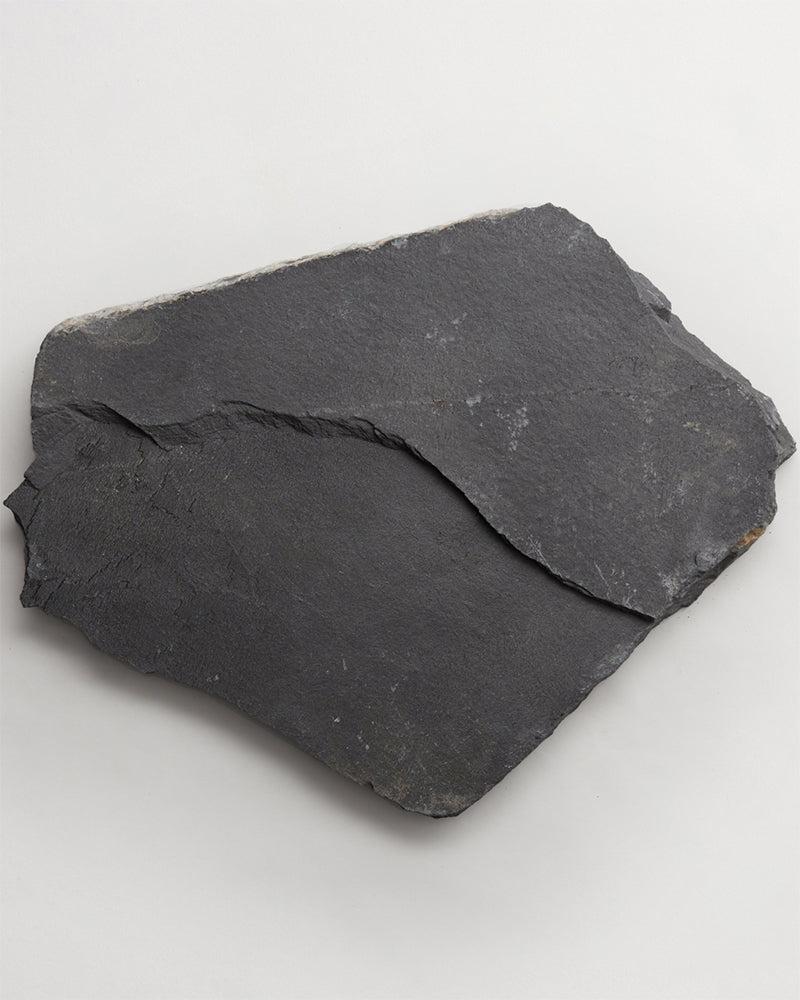 A piece of dark grey slate.