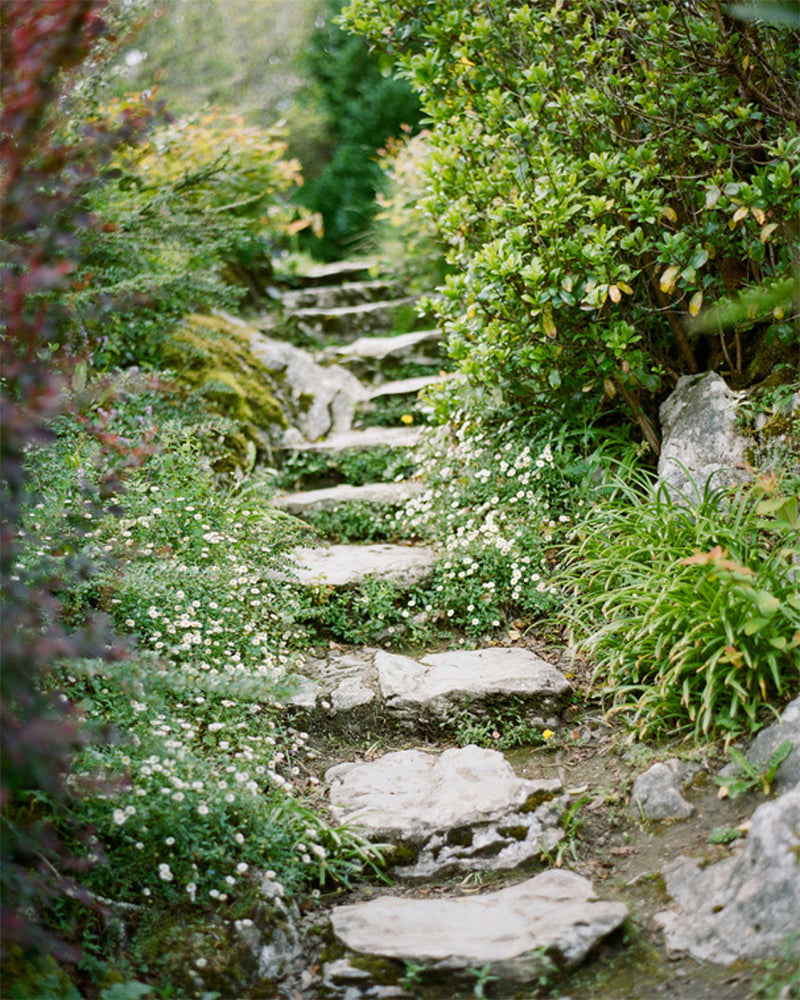 A garden path of stone stairs.