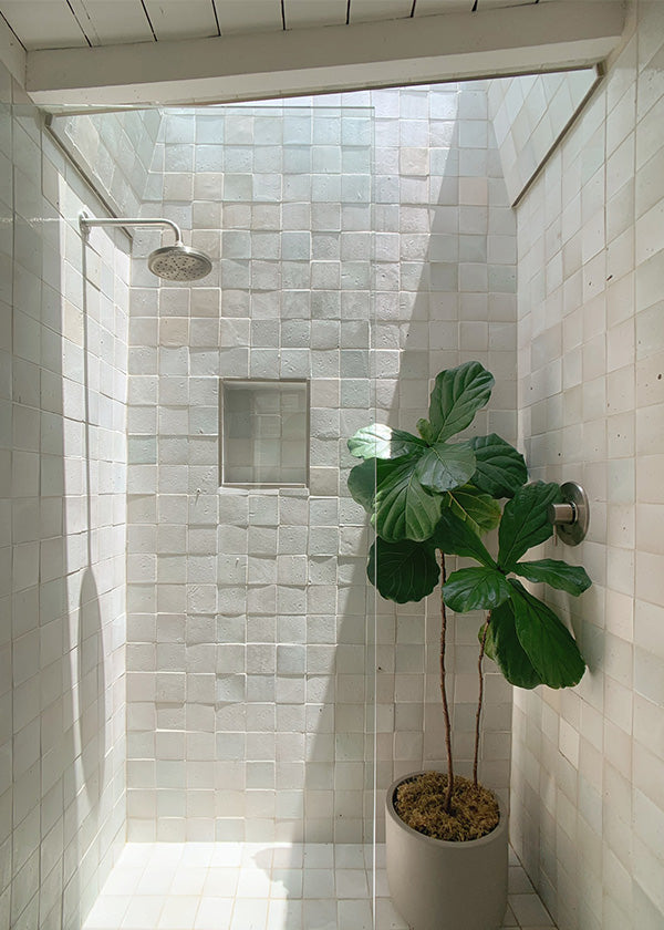 Open shower with sunlight coming in from above, a large plant, and cream colored glazed terracotta tiles on the walls.