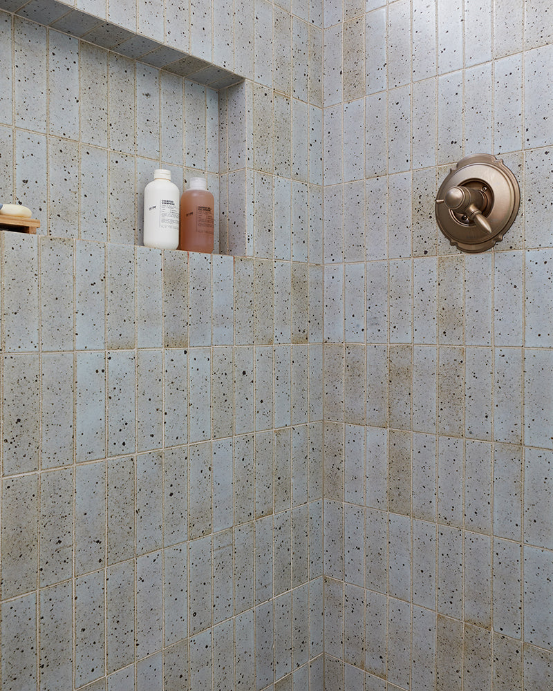 cle-tile-brick-new-california-willow-shower-wall-niche-bathroom-design-cathiehonginteriors-photo-margaretaustin_photo-v3.jpg__PID:2a702541-109c-4bd4-876a-61dc90e7352e