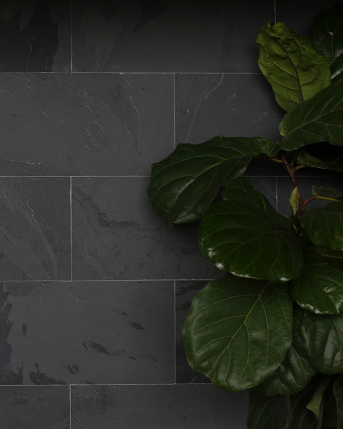 Dark grey wall with slate field tile and a large plant in front.