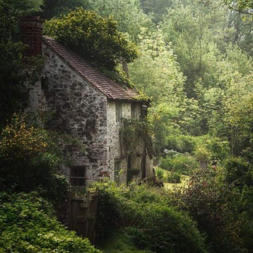 a stone cottage in a leafy forest