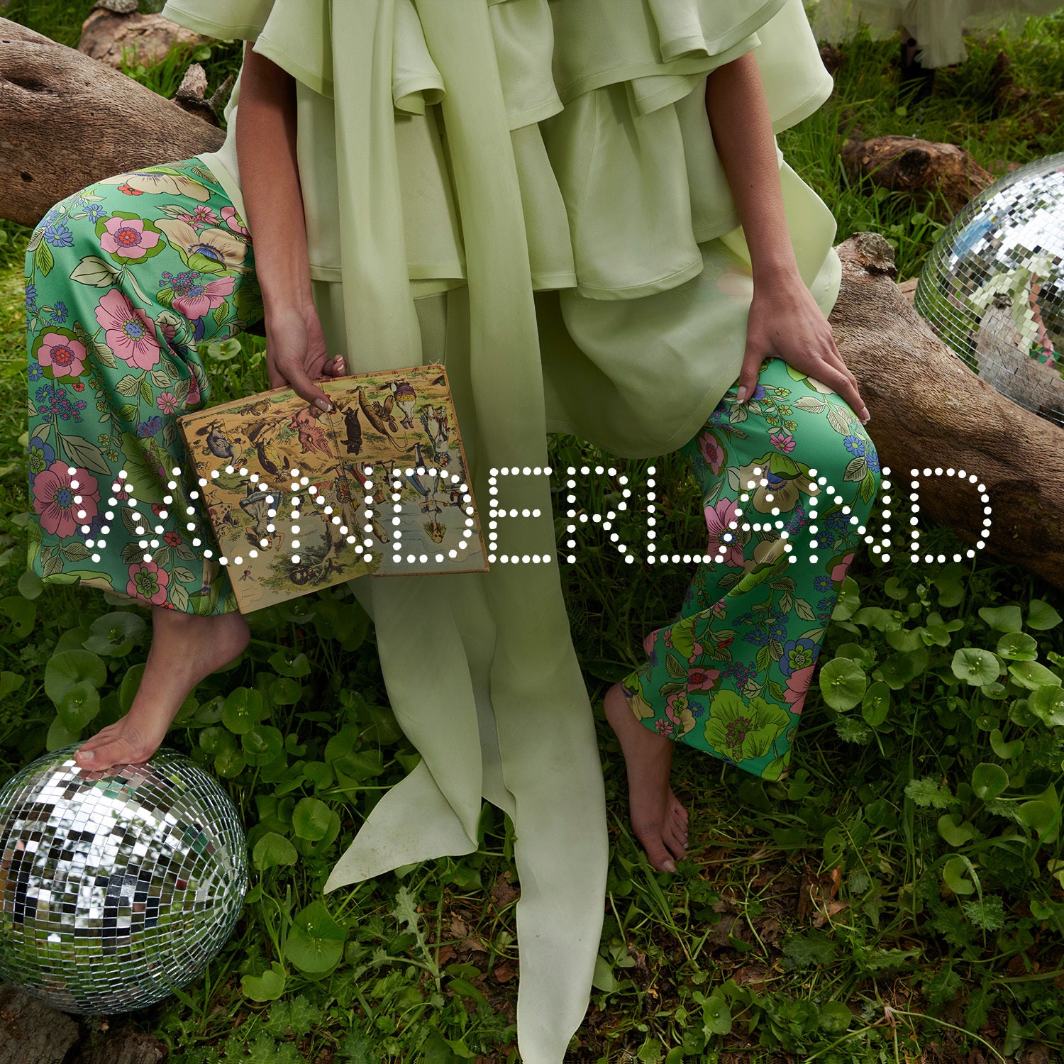 wonderland