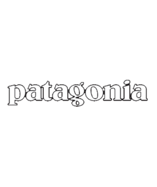 Patagonia Logo Sticker – Bennett's Clothing