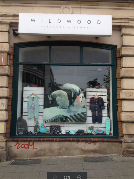 Window of Wild Wood, street art store and gallery in Kassel, Germany