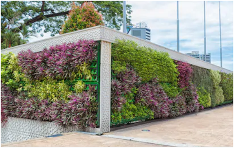 artificial garden wall on outdoor space