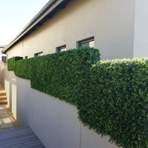 Artificial Boxwood Hedge Screen