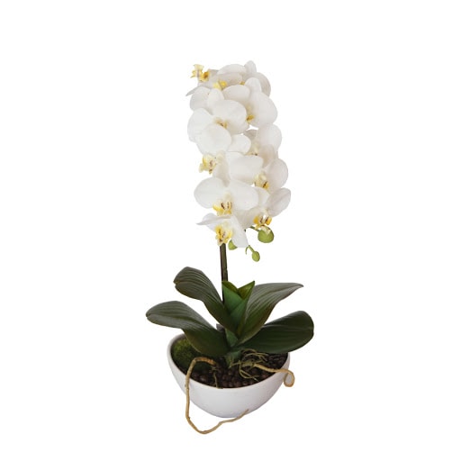 Butterfly Orchid artificial plants