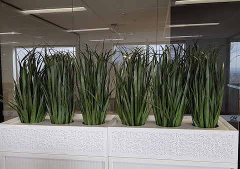 Dense Artificial Grass Plant