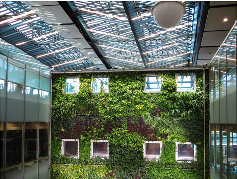 HOW TO MAINTAIN A GREEN WALL OR VERTICAL GARDEN