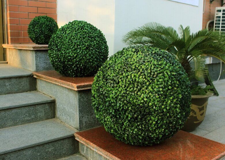 Topiary balls