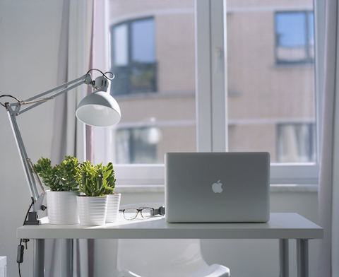 artificial faux plants in study area