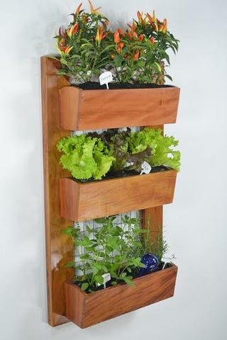 artificial wall plants