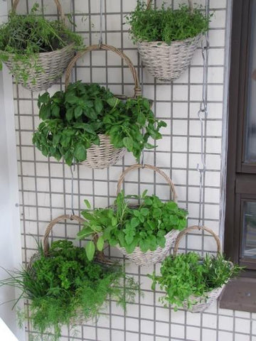 hanging baskets