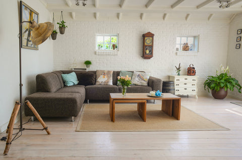 artificial plants in living room