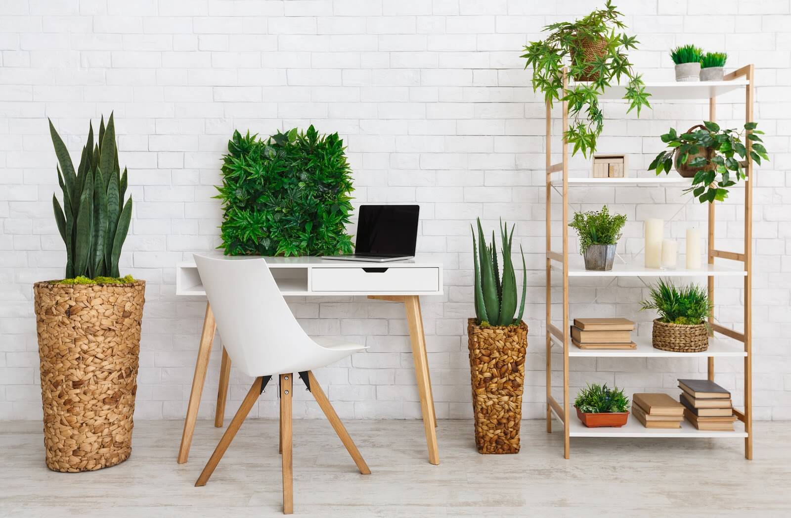 artificial plants in workplace with rack