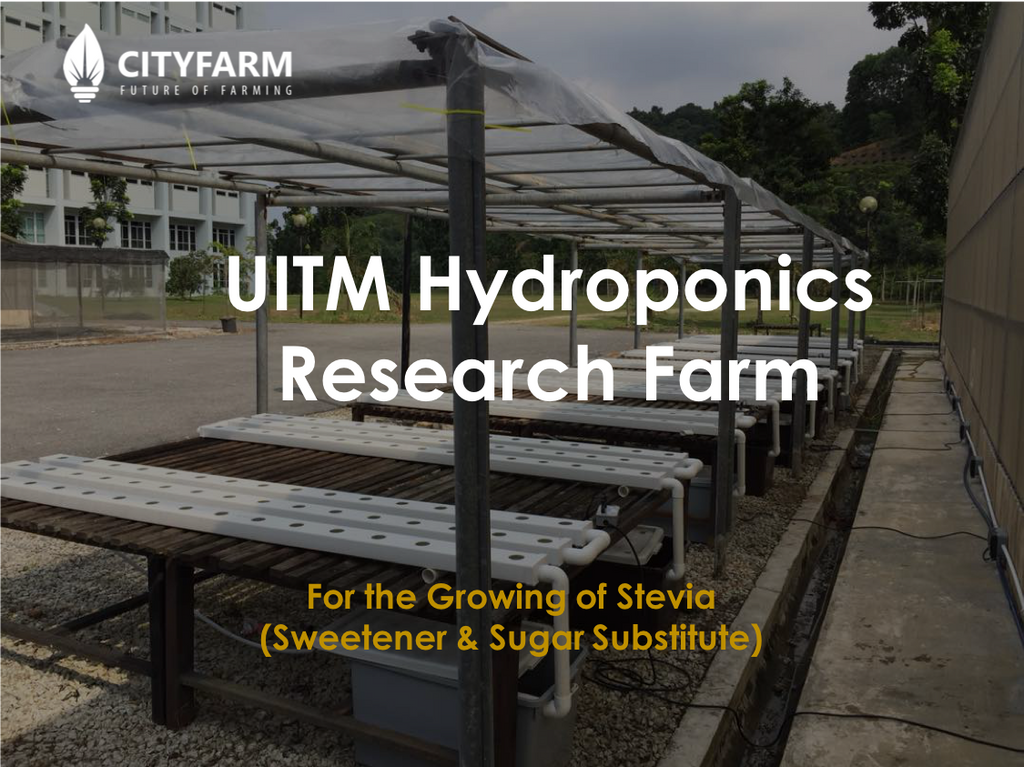 UITM Hydroponics Research Farm by CityFarm Malaysia