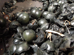 Ebony preparation for dyeing