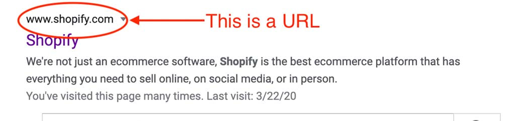 Su URL para su lista de motores de búsqueda en Shopify: Veronica Jeans Shopify Queen y autora más vendida 'Shopify Made Easy'
