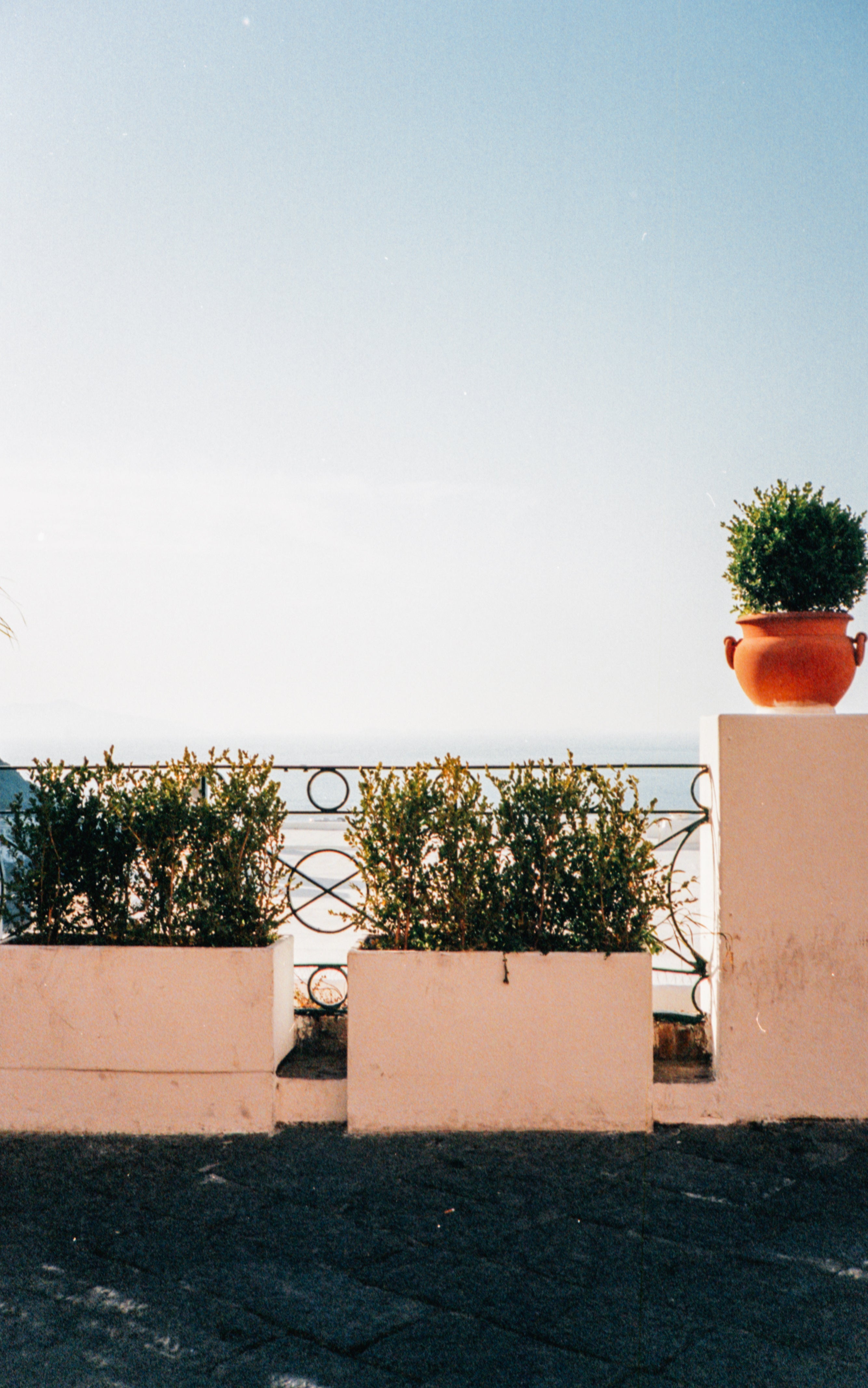 Capri by Roxane Diamand in A Day In The Life...Part III by Les Belles Heures