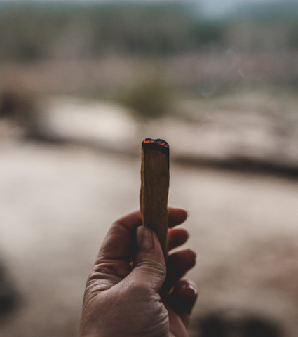 palo santo burning winter benefits during manages depression seasonal anxiety