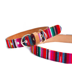 Hiptipico Dog Collar