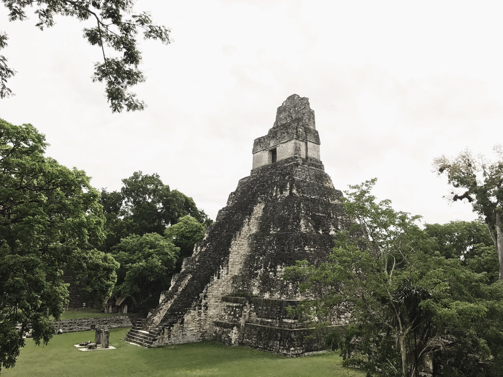 A photo of one of the Mayan Ruins at Tikal National Park