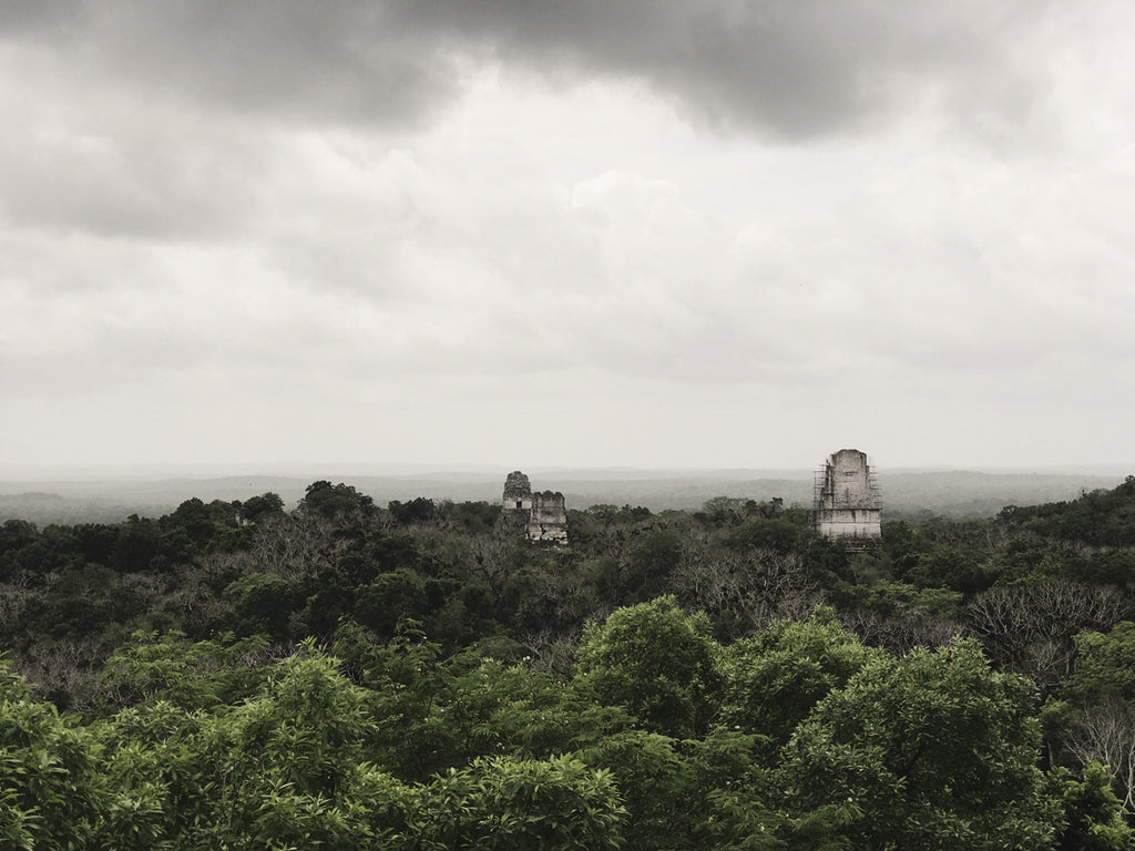 Another photo from the top of a monument at Tikal National Park where you can see all of the tree lines.