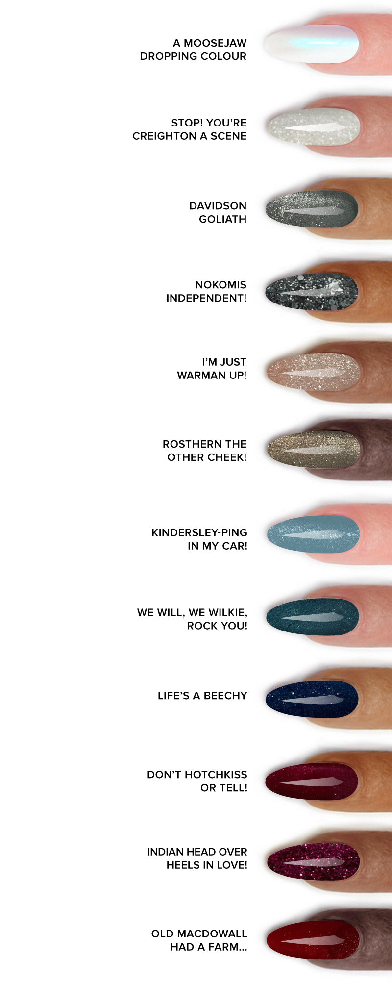 Rebel by Lia Reese Nail Polish Winter Wonderland Collection  - All swatches