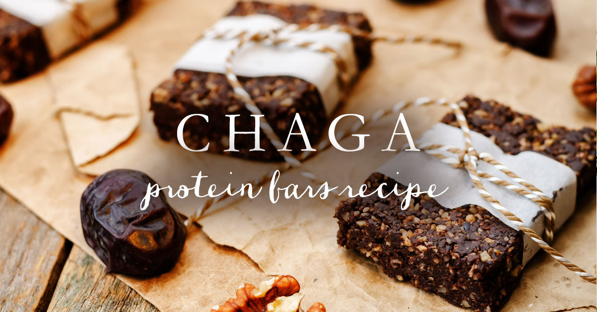 chaga-protein-bars