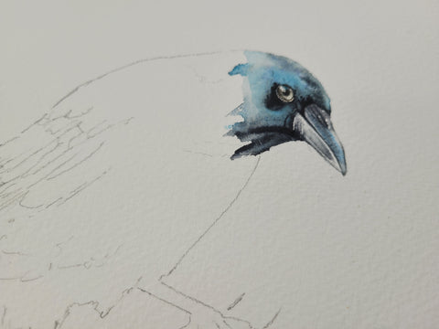 Share more than 118 crow drawing with colour latest