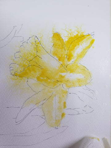How to paint a daffodil ( or yellows are very tricky) – watercolours by  rachel