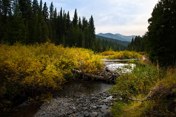 photograph of mountains and creek