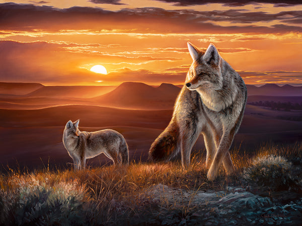 Oil painting of a coyote on the Great Plains at dusk.