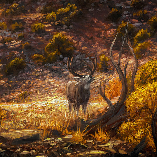 North American Wildlife Art - Mule Deer Buck
