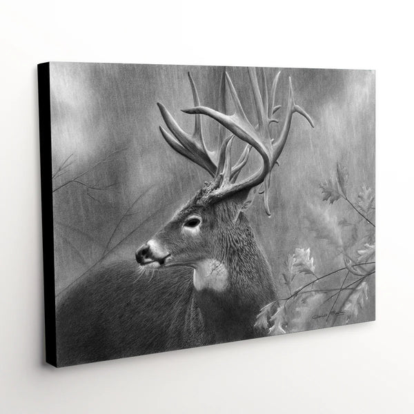 Shop whitetail buck art print on canvas