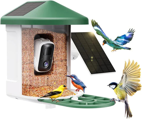 Bird feeders with cameras