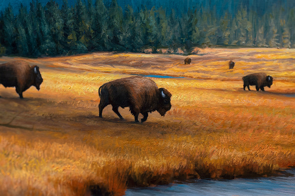 North American Wildlife Art - Bison Painting