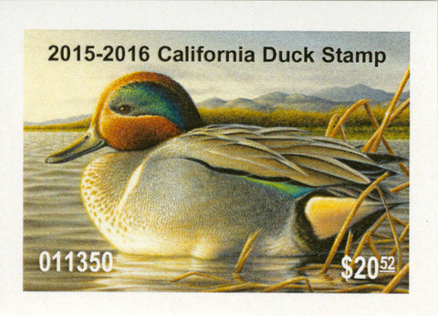 2015 california duck stamp by chuck black