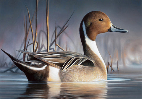 2024 Federal Duck Stamp