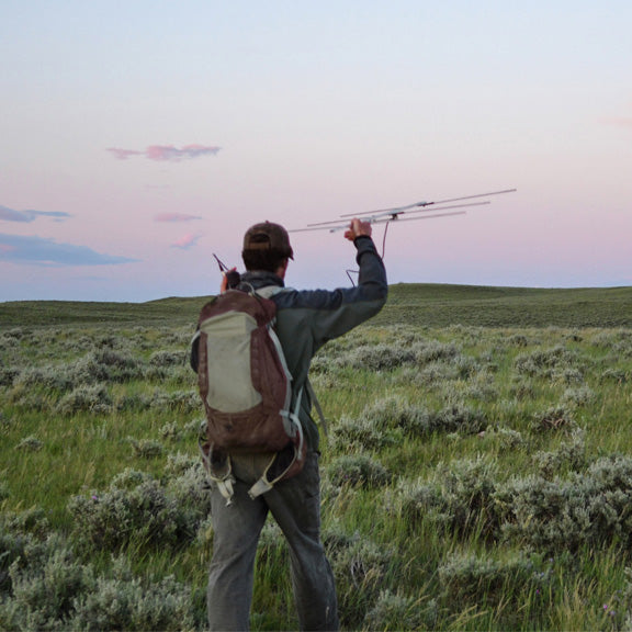 radio telemetry for wildlife