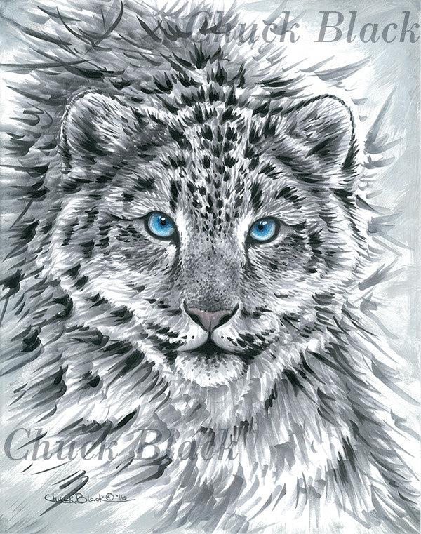 Snow Leopard Limited Edition Print Blue Brilliance