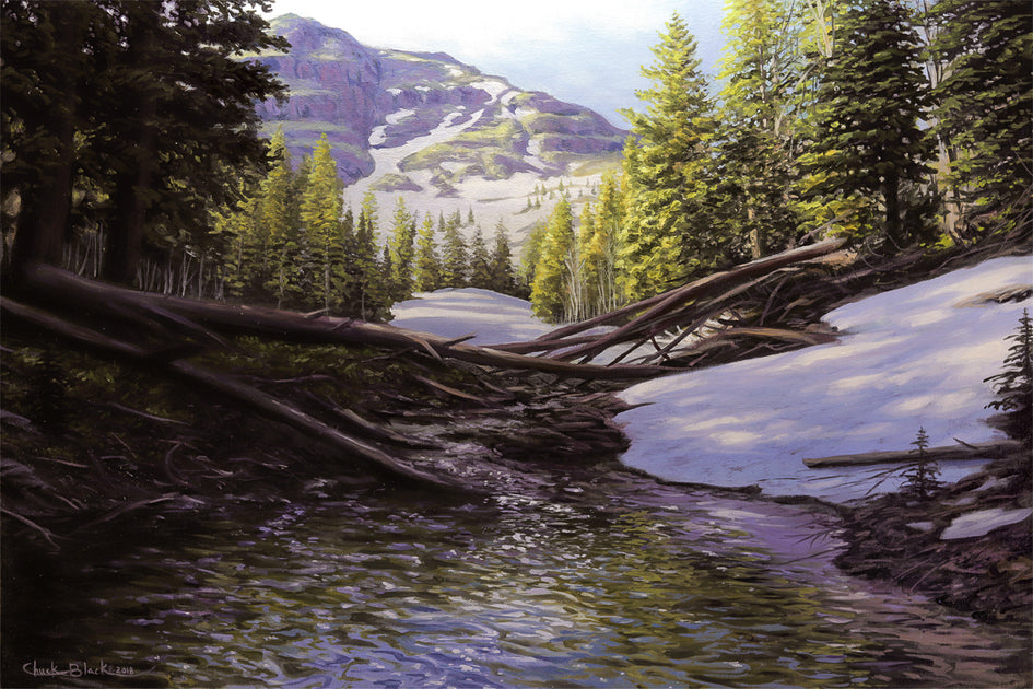 Original Landscape and Wildlife Paintings by Chuck Black – Wildlife and Art