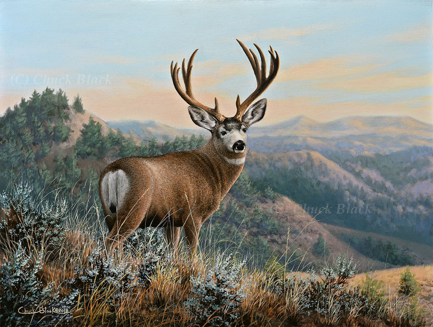 Beautiful Wildlife Art Prints – Wildlife and Art