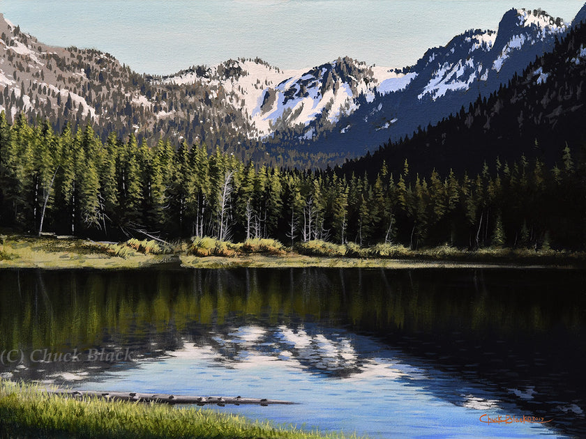 Original Landscape and Wildlife Paintings by Chuck Black – Wildlife and Art
