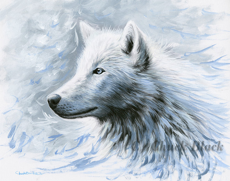 White Wolf Limited Edition Print White Wonders
