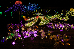 LED Christmas lights highlighting your garden