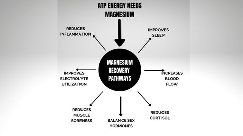 ATP Energy and Magnesium