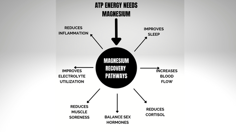 Magnesium & ATP Recovery pathways