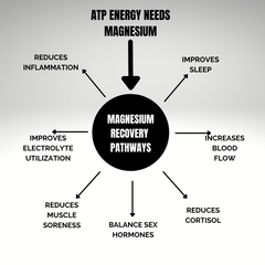 Magnesium is critical to ATP Energy and Recovery Pathways